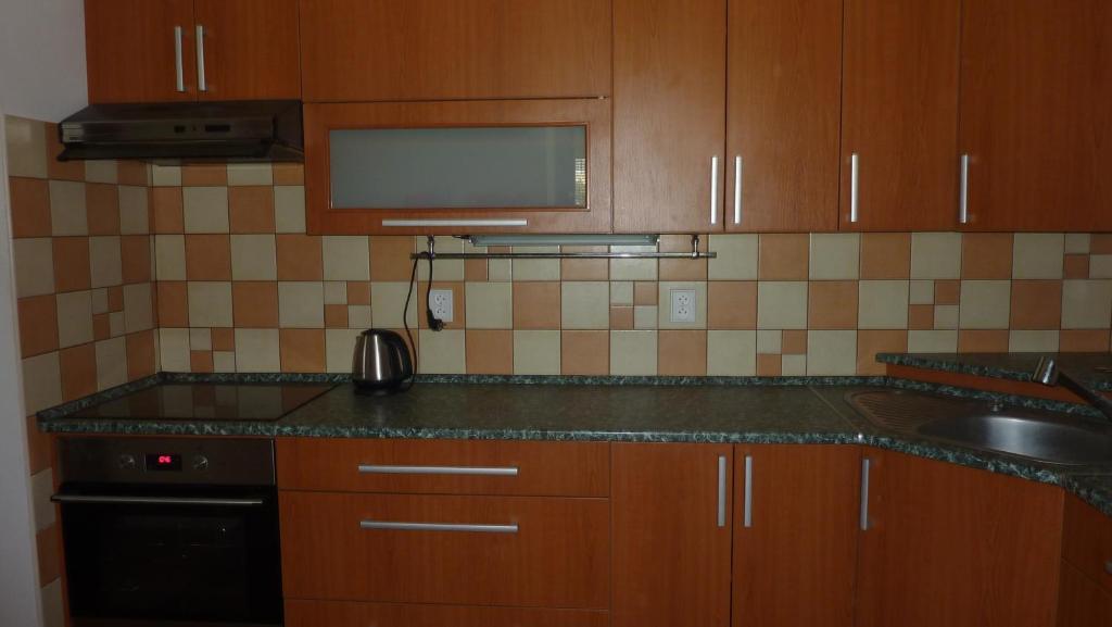 Penzion Lipina Slatiňany 部屋 写真