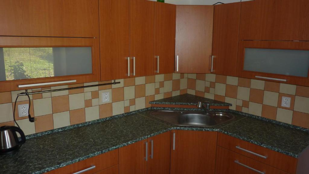 Penzion Lipina Slatiňany 部屋 写真