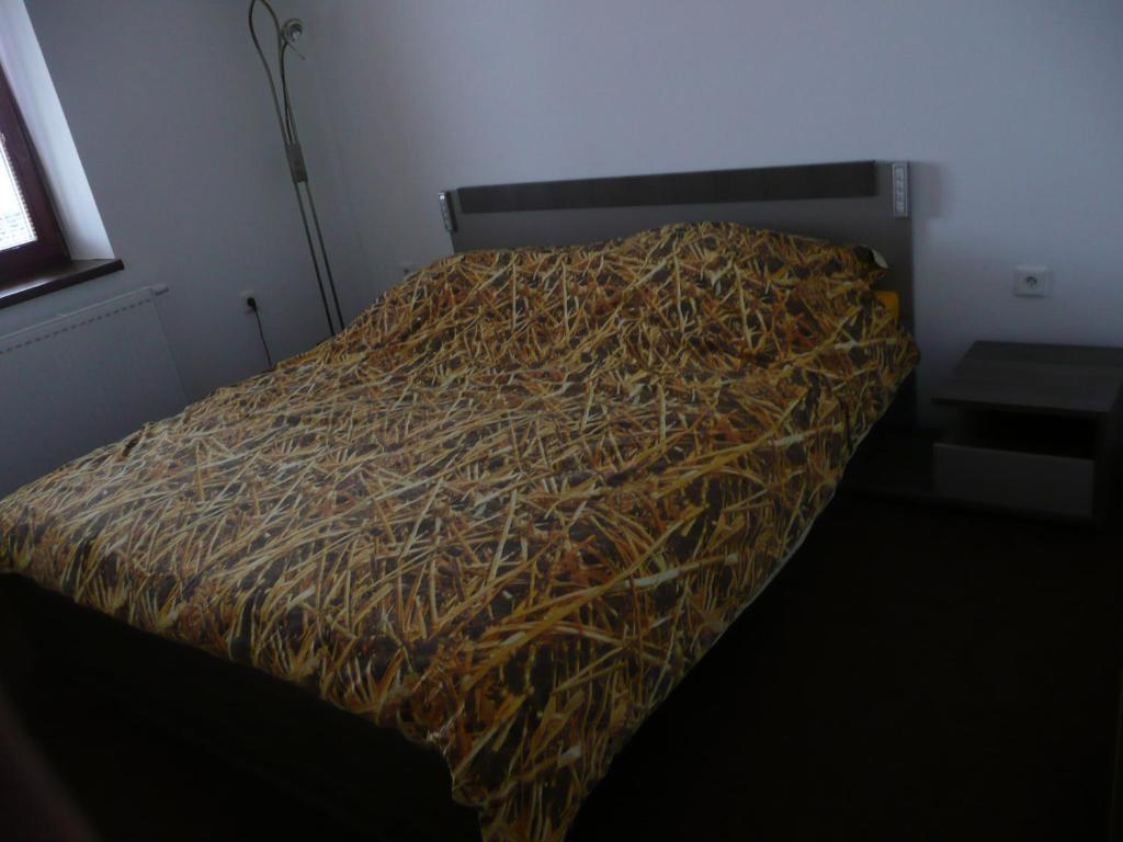Penzion Lipina Slatiňany 部屋 写真